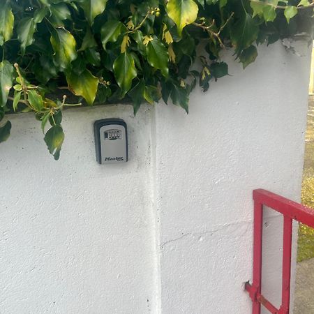 Entire Farmhouse In Tipperary 纳奈赫 外观 照片