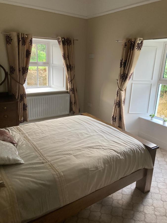Entire Farmhouse In Tipperary 纳奈赫 外观 照片